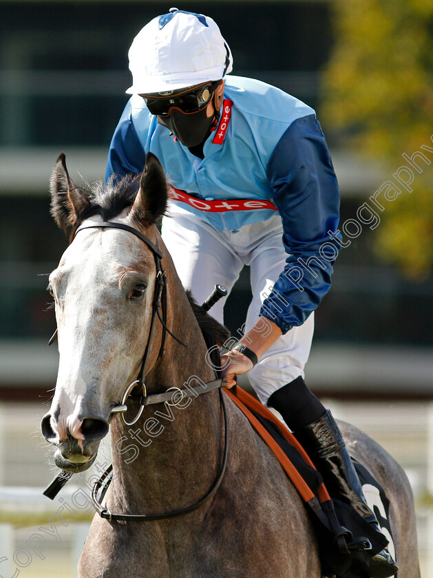 White-Lady-0001 
 WHITE LADY (James Doyle)
Newbury 18 Sep 2020 - Pic Steven Cargill / Racingfotos.com