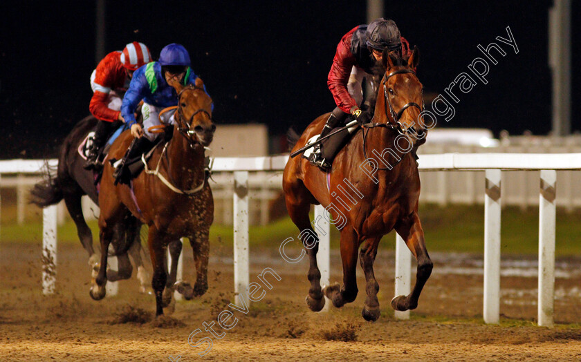 Johan-0003 
 JOHAN (Tom Marquand) wins The tote.co.uk Now Never Beaten By SP Handicap
Chelmsford 15 Oct 2020 - Pic Steven Cargill / Racingfotos.com