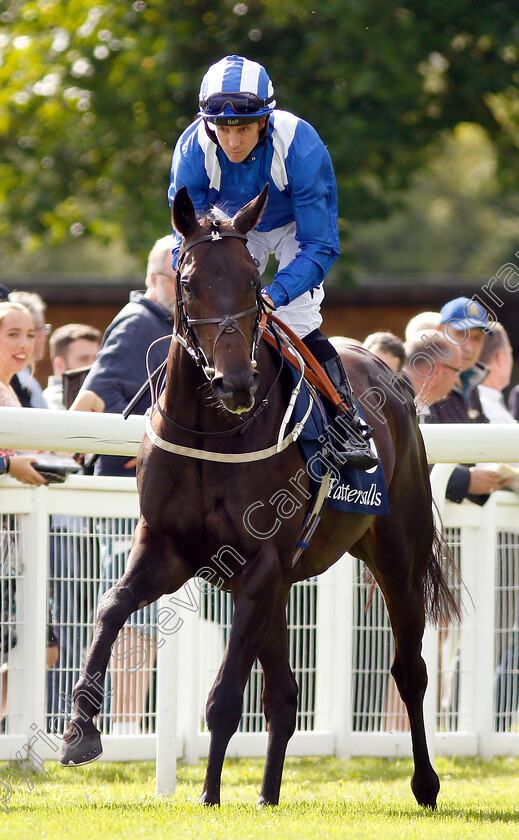 Elarqam-0001 
 ELARQAM (Jim Crowley)
Salisbury 16 Aug 2018 - Pic Steven Cargill / Racingfotos.com