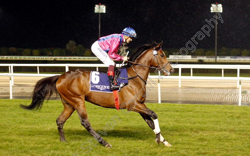 White-Heart-0001 
 WHITE HEART (Richard Mullen)
Meydan 27 Jan 2023 - Pic Steven Cargill / Racingfotos.com