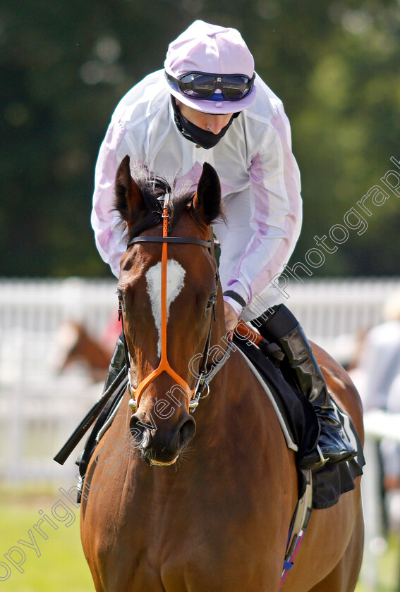 Loquace-0001 
 LOQUACE (Richard Kingscote)
Newbury 16 Jul 2021 - Pic Steven Cargill / Racingfotos.com