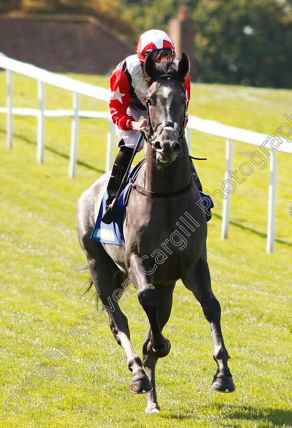 Arbalet-0001 
 ARBALET (Ryan Moore) Sandown 2 Sep 2017 - Pic Steven Cargill / Racingfotos.com