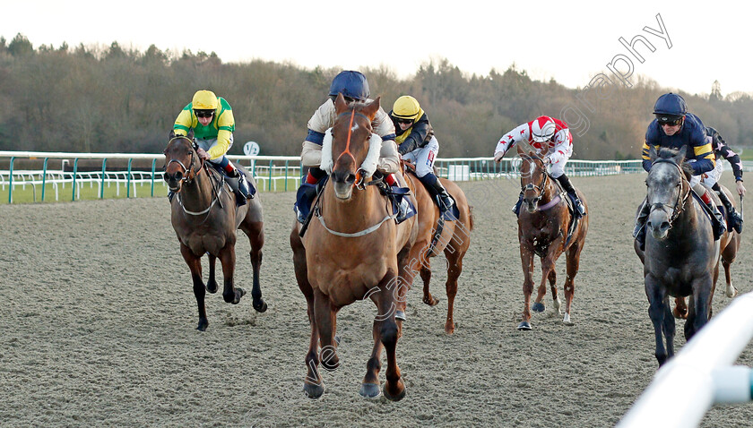 Watchable-0001 
 WATCHABLE (Shane Gray) wins The Betway Handicap
Lingfield 9 Dec 2019 - Pic Steven Cargill / Racingfotos.com