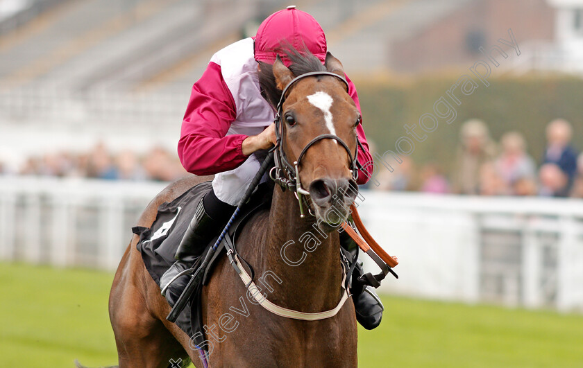 Pastamakesufaster-0005 
 PASTAMAKESUFASTER (John Egan) wins The TBA Small Breeders Fillies Stakes Goodwood 27 Sep 2017 - Pic Steven Cargill / Racingfotos.com