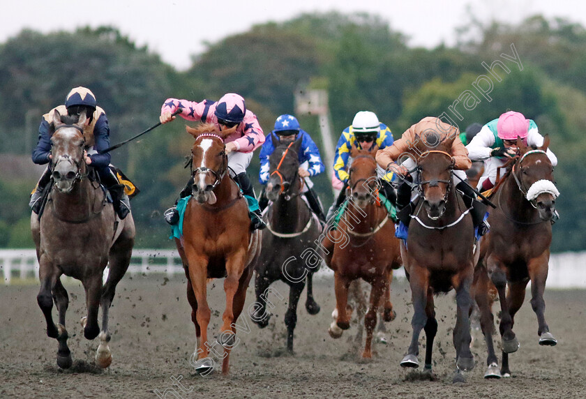 Cognisance-0005 
 COGNISANCE (2nd right, Tom Marquand) beats HELLO MISS LADY (2nd left) PORT ROAD (left) and LEADMAN (right) in The Unibet Support Safe Gambling Novice Stakes Div2
Kempton 28 Aug 2024 - Pic Steven Cargill / Racingfotos.com