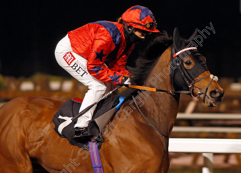 Vanity-Affair-0001 
 VANITY AFFAIR (Hayley Turner)
Chelmsford 14 Jan 2021 - Pic Steven Cargill / Racingfotos.com