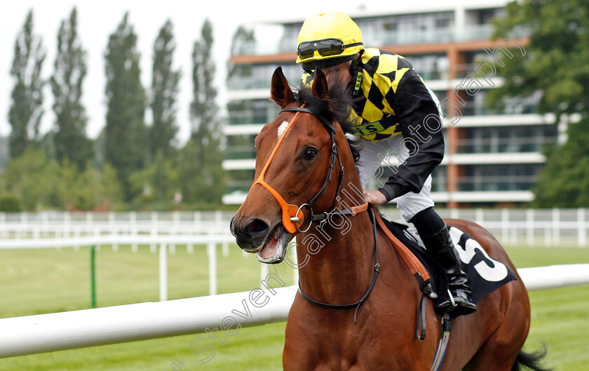 King s-View-0001 
 KING'S VIEW (Ryan Moore)
Newbury 13 Jun 2019 - Pic Steven Cargill / Racingfotos.com