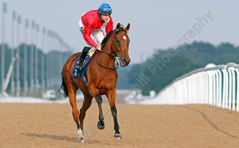 Potapova-0001 
 POTAPOVA (Richard Kingscote)
Newcastle 24 Jun 2022 - Pic Steven Cargill / Racingfotos.com