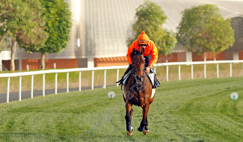 My-Oberon-0002 
 MY OBERON training for The Dubai Turf
Meydan, Dubai, 24 Mar 2022 - Pic Steven Cargill / Racingfotos.com