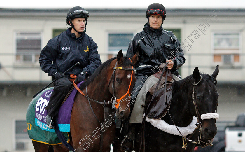 Arthur-Kitt-0001 
 ARTHUR KITT exercising ahead of The Breeders' Cup Juvenile Turf
Churchill Downs 1 Nov 2018 - Pic Steven Cargill / Racingfotos.com