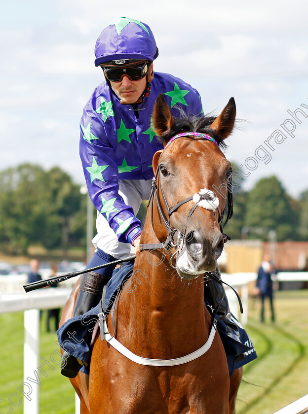 Oviedo 
 OVIEDO (Kevin Stott)
York 17 Aug 2022 - Pic Steven Cargill / Racingfotos.com