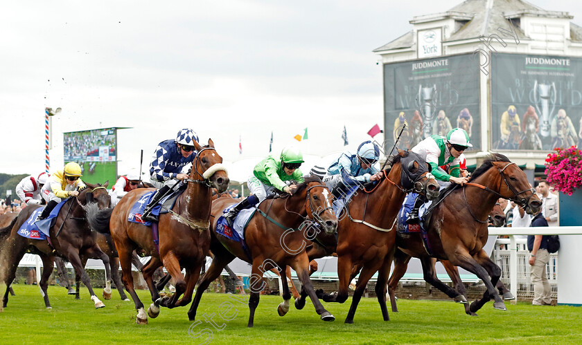 Equilateral-0001 
 EQUILATERAL (Jamie Spencer) beats ALLIGATOR ALLEY (2nd right) JM JUNGLE (2nd left) and MAKANAH (left) in The Sky Bet & Symphony Group Handicap
York 23 Aug 2023 - Pic Steven Cargill / Racingfotos.com