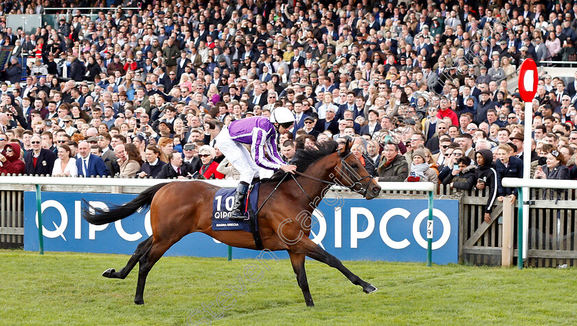 Magna-Grecia-0009 
 MAGNA GRECIA (Donnacha O'Brien) wins The Qipco 2000 Guineas
Newmarket 4 May 2019 - Pic Steven Cargill / Racingfotos.com