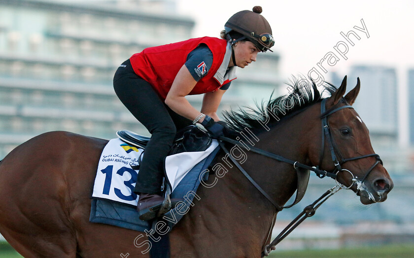 Secret-Combination-0004 
 SECRET COMBINATION training at the Dubai Racing Carnival 
Meydan 2 Jan 2025 - Pic Steven Cargill / Racingfotos.com