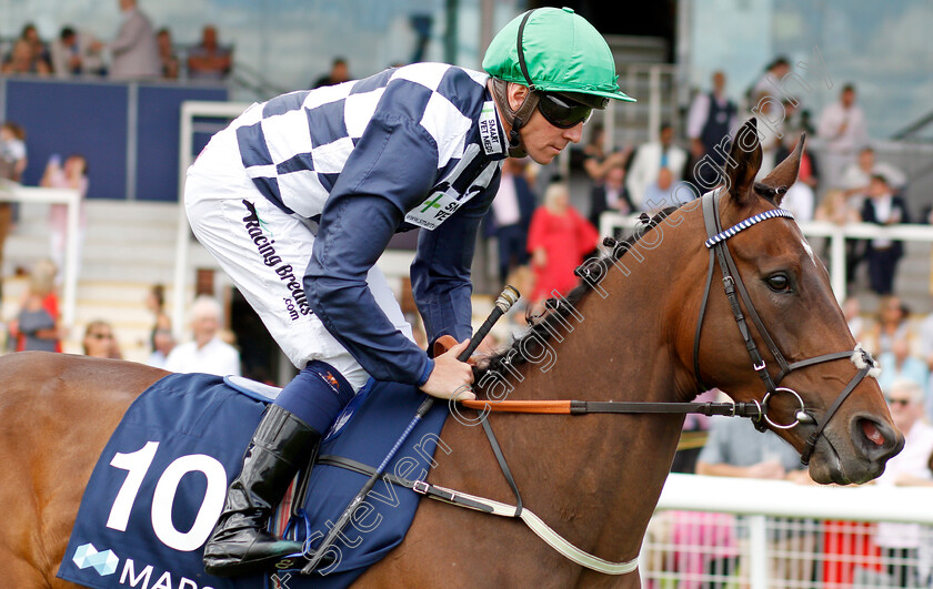 Reshoun-0001 
 RESHOUN (Jim Crowley)
Newbury 20 Jul 2019 - Pic Steven Cargill / Racingfotos.com