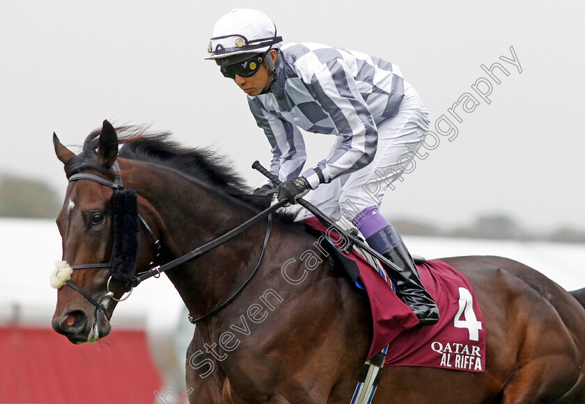 Al-Riffa-0002 
 AL RIFFA (Yutake Take)
Longchamp 6 Oct 2024 - Pic Steven Cargill / Racingfotos.com