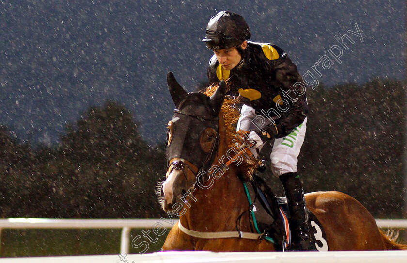 Leap-Of-Faith-0001 
 LEAP OF FAITH (Luke Morris)
Chelmsford 6 Sep 2018 - Pic Steven Cargill / Racingfotos.com