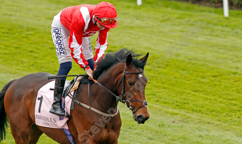 Berkshire-Rebel-0001 
 BERKSHIRE REBEL (David Probert)
Chester 4 May 2022 - Pic Steven Cargill / Racingfotos.com