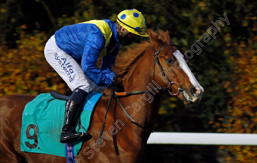 Sabousi-0001 
 SABOUSI (Jim Crowley)
Kempton 11 Nov 2020 - Pic Steven Cargill / Racingfotos.com