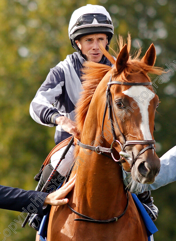 Dante s-View-0001 
 DANTE'S VIEW (Ryan Moore)
Leicester 10 Sep 2019 - Pic Steven Cargill / Racingfotos.com