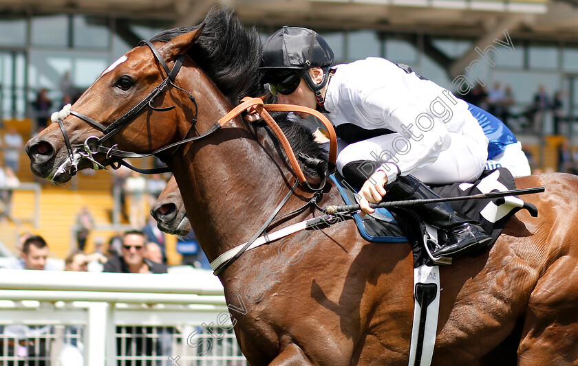 Confiding-0004 
 CONFIDING (Callum Shepherd) wins The Be Wiser Insurance Novice Stakes
Newbury 14 Jun 2018 - Pic Steven Cargill / Racingfotos.com