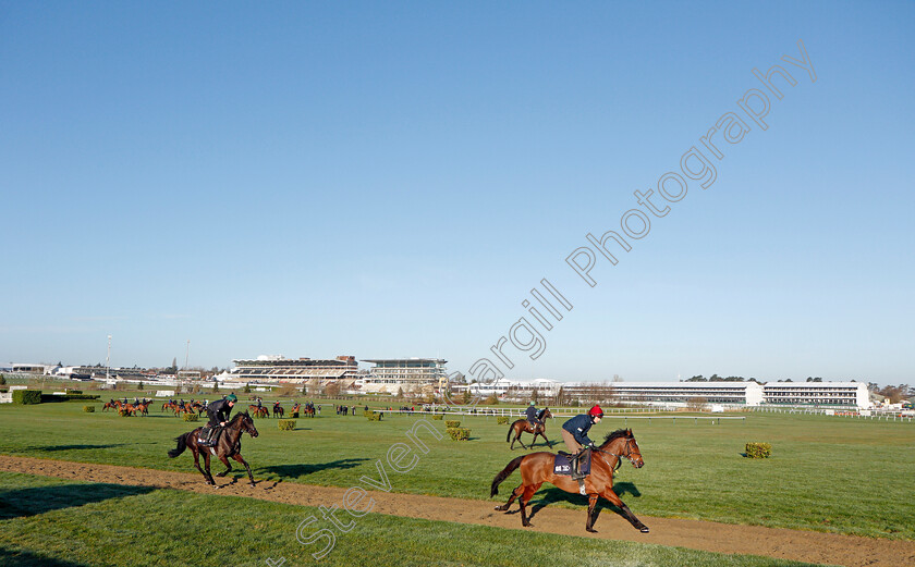 Tiger-Roll-0006 
 TIGER ROLL exercising on the eve of the Cheltenham Festival
Cheltenham 14 Mar 2022 - Pic Steven Cargill / Racingfotos.com