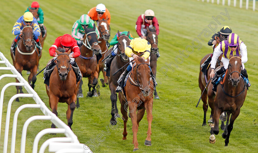 Justanotherbottle-0003 
 JUSTANOTHERBOTTLE (centre, William Buick) beats TINTO (right) and EMBOUR (left) in The Play 4 To Score At Betway Handicap
Sandown 31 Aug 2019 - Pic Steven Cargill / Racingfotos.com