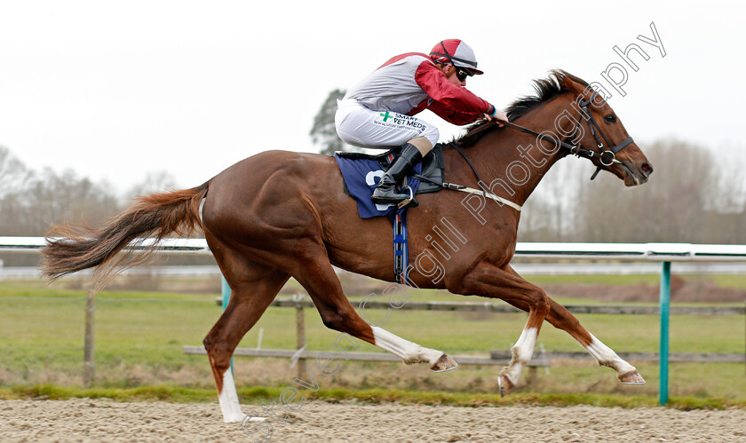 Estrela-Star-0006 
 ESTRELA STAR (Kieran O'Neill) wins The Play 4 To Score At Betway Handicap
Lingfield 14 Feb 2020 - Pic Steven Cargill / Racingfotos.com