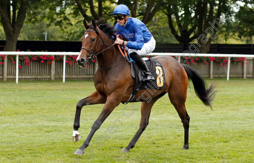 Light-Blush-0001 
 LIGHT BLUSH (James Doyle) before The Rossdales British EBF Maiden Fillies Stakes
Newmarket 13 Jul 2019 - Pic Steven Cargill / Racingfotos.com