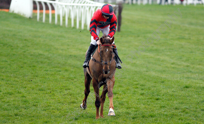 House-Island-0001 
 HOUSE ISLAND (Gavin Sheehan) winner of The Racing TV Standard Open National Hunt Flat Race
Newbury 22 Mar 2019 - Pic Steven Cargill / Racingfotos.com