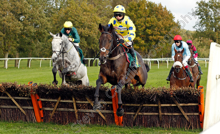 Switch-Hitter-0001 
 SWITCH HITTER (Harry Cobden)
Fakenham 16 Oct 2020 - Pic Steven Cargill / Racingfotos.com