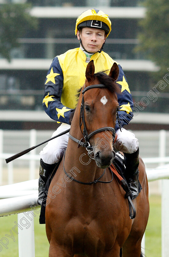 Time-To-Strike-0001 
 TIME TO STRIKE (Jamie Spencer)
Newbury 19 Jul 2019 - Pic Steven Cargill / Racingfotos.com