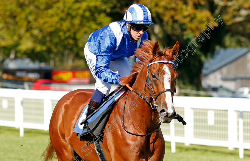 Mohaafeth-0001 
 MOHAAFETH (Jim Crowley)
Salisbury 1 Oct 2020 - Pic Steven Cargill / Racingfotos.com