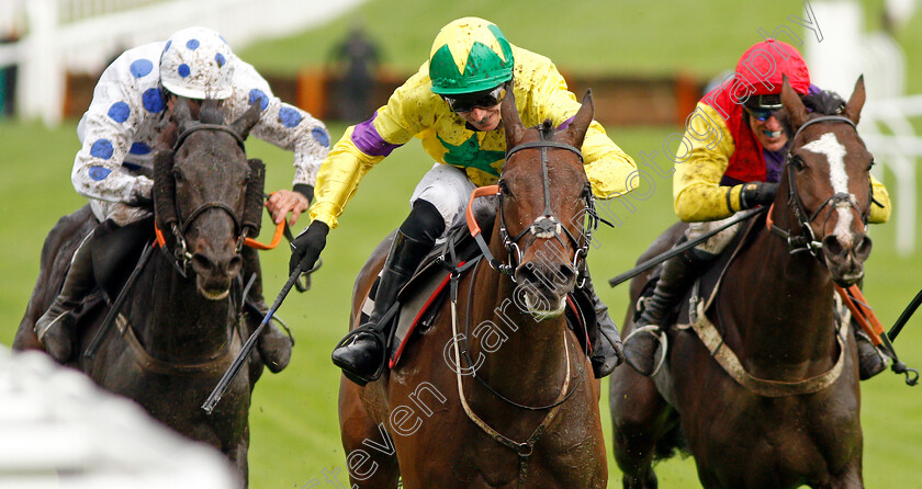 Champagne-Well-0005 
 CHAMPAGNE WELL (Paddy Brennan) wins The Ballymore Novices Hurdle
Cheltenham 25 Oct 2019 - Pic Steven Cargill / Racingfotos.com