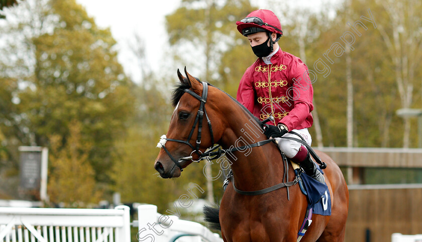 Ocean-Road-0002 
 OCEAN ROAD (Oisin Murphy)
Lingfield 8 May 2021 - Pic Steven Cargill / Racingfotos.com