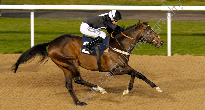 Involved-0005 
 INVOLVED (Robert Winston) wins The Follow Top Tipsters At Sun Racing Novice Median Auction Stakes
Wolverhampton 10 Dec 2018 - Pic Steven Cargill / Racingfotos.com