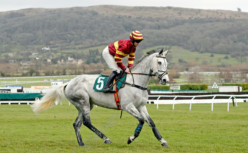 Parlour-Maid-0001 
 PARLOUR MAID (Robert Dunne)
Cheltenham 13 Dec 2019 - Pic Steven Cargill / Racingfotos.com