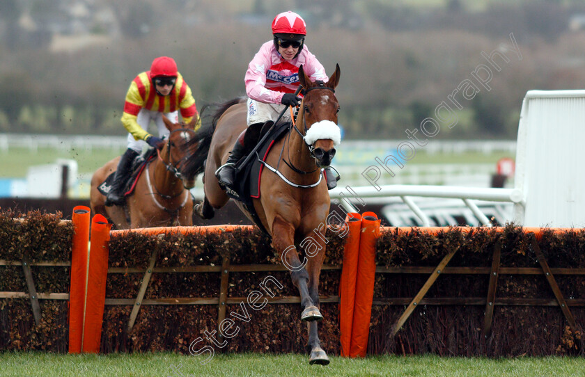 Brewin upastorm-0001 
 BREWIN'UPASTORM (Richard Johnson)
Cheltenham 26 Jan 2019 - Pic Steven Cargill / Racingfotos.com