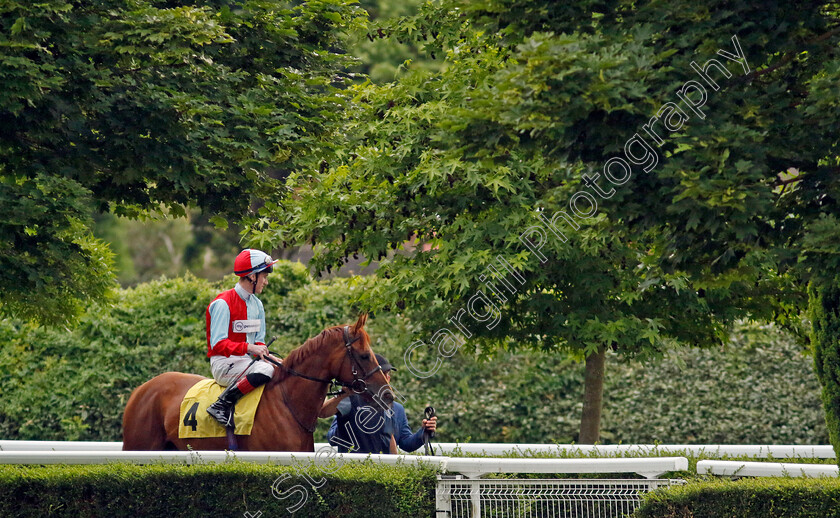 Free-Speech-0001 
 FREE SPEECH (David Egan)
Kempton 12 Jun 2024 - Pic Steven Cargill / Racingfotos.com