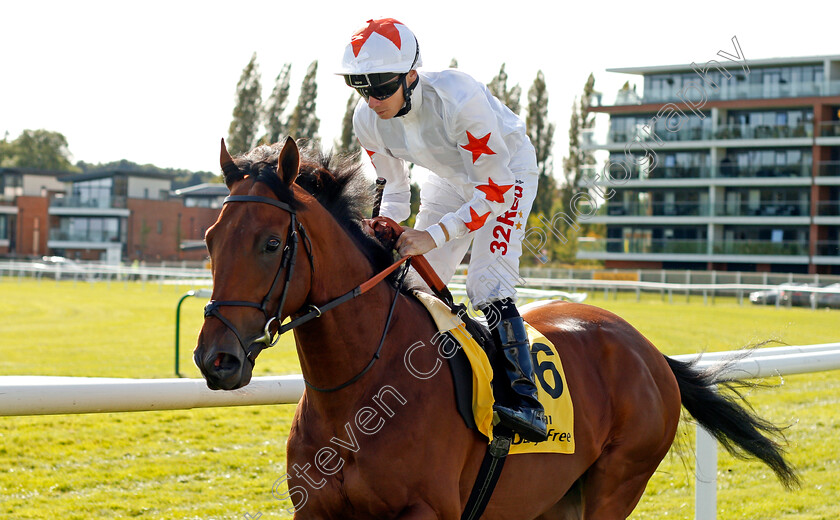 Lansky-0001 
 LANSKY (Jamie Spencer) Newbury 23 Sep 2017 - Pic Steven Cargill / Racingfotos.com