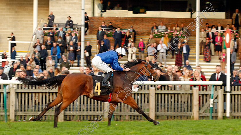 Ottoman-Fleet-0002 
 OTTOMAN FLEET (Ryan Moore) wins The National Stud Welcomes Stradivarius James Seymour Stakes
Newmarket 29 Oct 2022 - Pic Steven Cargill / Racingfotos.com