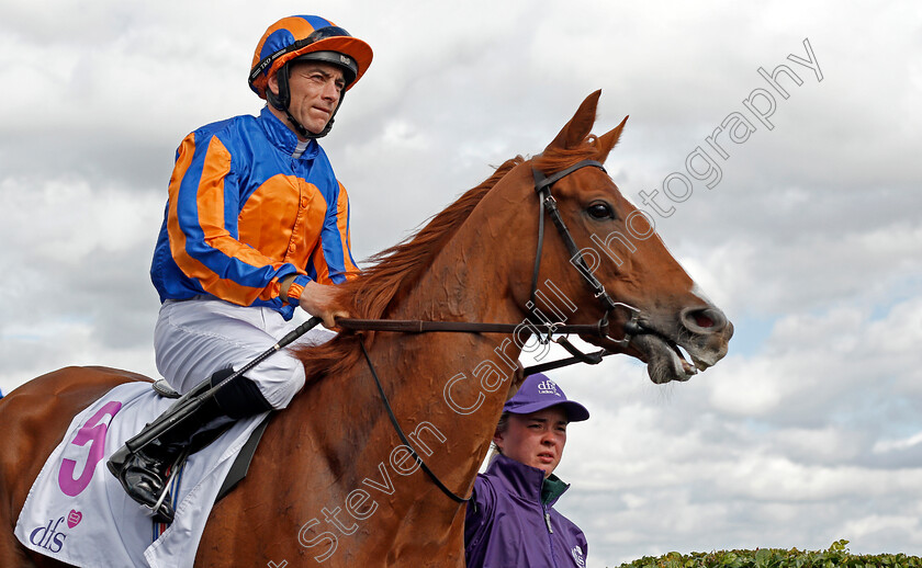 Peach-Tree-0001 
 PEACH TREE (Wayne Lordan)
Doncaster 12 Sep 2019 - Pic Steven Cargill / Racingfotos.com