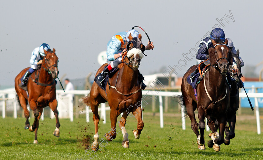 Tagovailoa-0001 
 TAGOVAILOA (right, Hollie Doyle) beats BLONDE WARRIOR (centre) in The Moulton Nurseries of Acle Classified Claiming Stakes
Yarmouth 15 Sep 2020 - Pic Steven Cargill / Racingfotos.com