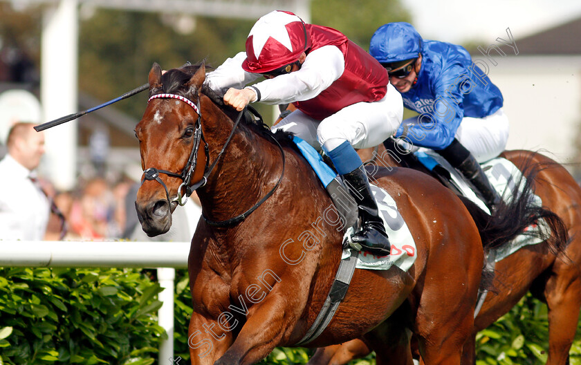 Glorious-Journey-0009 
 GLORIOUS JOURNEY (William Buick) wins The Cazoo Park Stakes
Doncaster 11 Sep 2021 - Pic Steven Cargill / Racingfotos.com