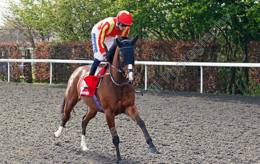 Twisted-Tiara-0001 
 TWISTED TIARA (David Probert)
Kempton 6 Apr 2024 - Pic Steven Cargill / Racingfotos.com