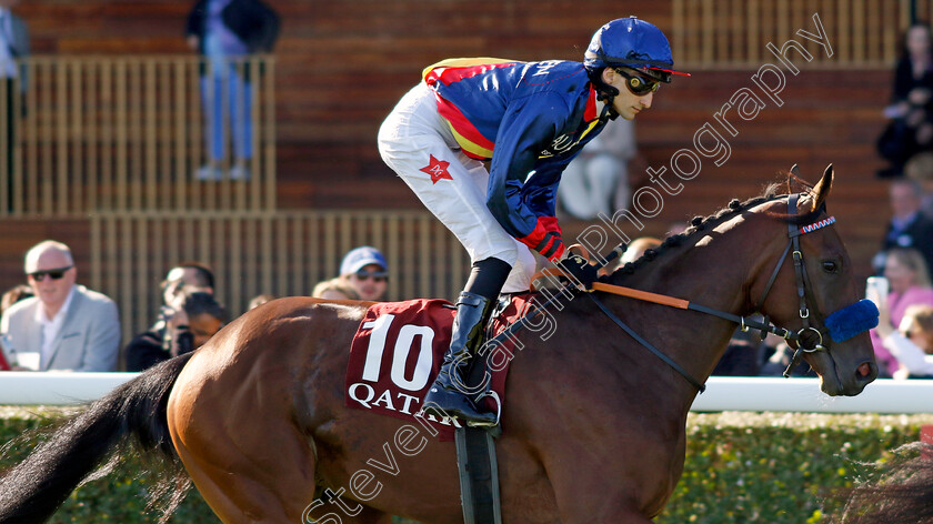 Glady-Tiger-0001 
 GLADY TIGER (P Gibson)
Longchamp 5 Oct 2034 - Pic Steven Cargill / Racingfotos.com