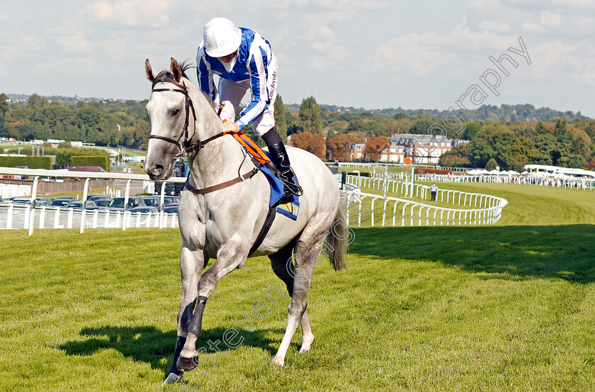 Thundering-Blue-0001 
 THUNDERING BLUE (Jim Crowley) winner of The BetBright Recall Handicap Sandown 2 Sep 2017 - Pic Steven Cargill / Racingfotos.com