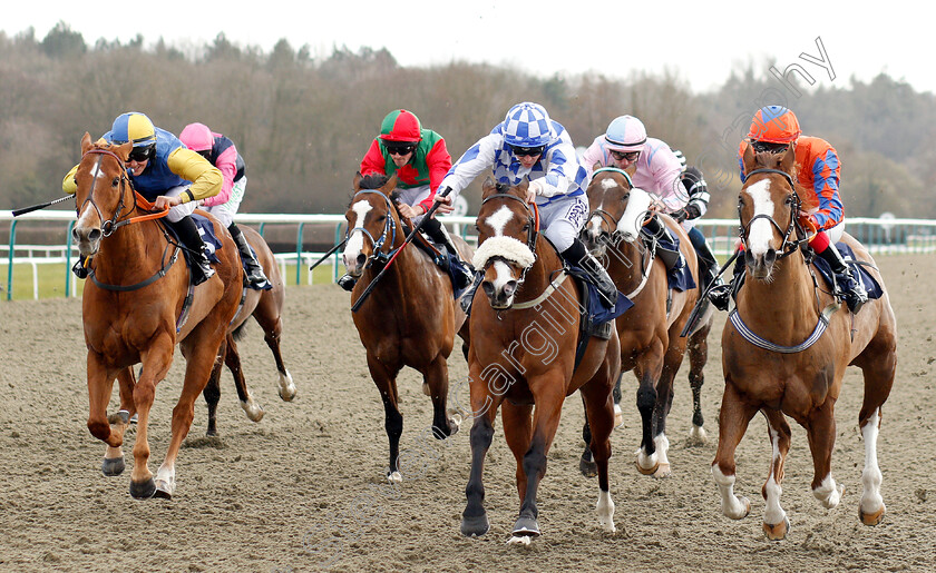 Hurricane-Alert-0001 
 HURRICANE ALERT (centre, David Probert) beats PROMINNA (right) and PHAROH JAKE (left) in The Betway Heed Your Hunch Handicap
Lingfield 2 Mar 2019 - Pic Steven Cargill / Racingfotos.com