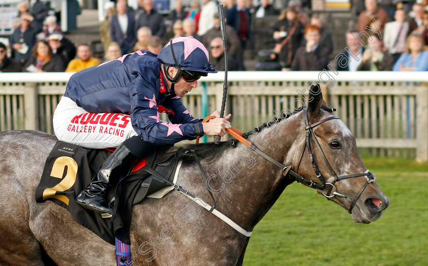 Don t-Tell-Claire-0001 
 DON'T TELL CLAIRE (Jack Mitchell) wins The Racing TV Fillies Handicap
Newmarket 19 Oct 2022 - Pic Steven Cargill / Racingfotos.com