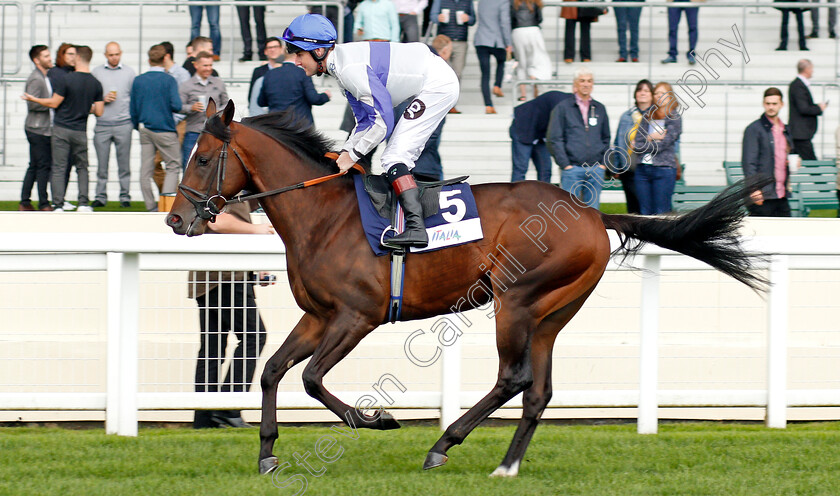 Ropey-Guest-0001 
 ROPEY GUEST (Tom Queally)
Ascot 7 Sep 2019 - Pic Steven Cargill / Racingfotos.com